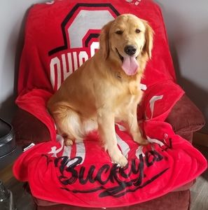 Meet your Posher, Tim